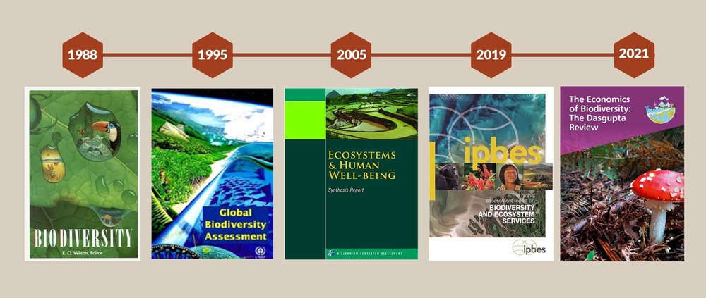 Biodiversiteettikatoa käsitteleviä julkaisuja on ilmestynyt useita vuosien saatossa.