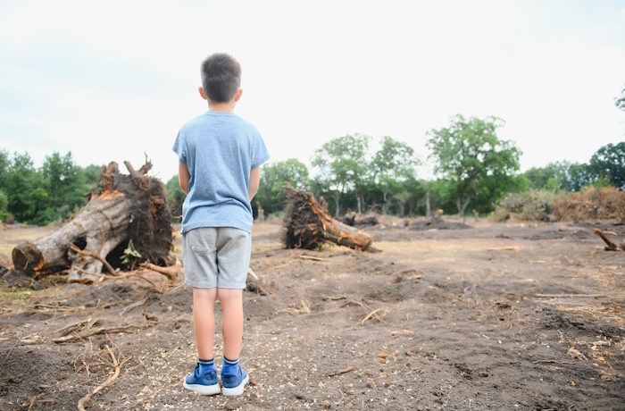 Kuva: Shutterstock. Paikalliset asukkaat voivat pian haastaa yrityksen oikeuteen esimerkiksi yrityksen aiheuttamasta metsäkadosta.