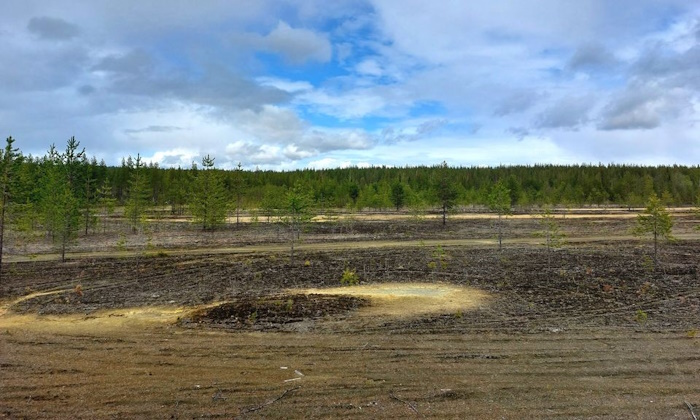 Kuva: Sanna Pyysing. Hyödyllisiä raaka-aineita toivotaan löytyvän muun muassa Kemijärvellä sijaitsevalta Kärväsvaaran entiseltä kaivosalueelta.