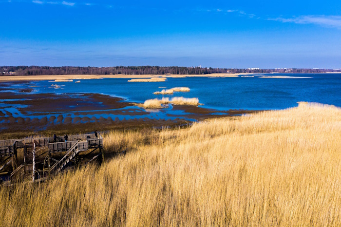 Kuva: SYKE ja Aalto. Laajalahden luonnonsuojelualue Espoossa on esimerkki merkittävästä rantaluontoalueesta.