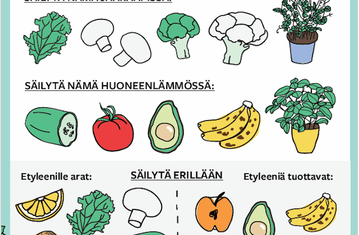 Kuva: Hävikkiviikko. Hävikkiviikko antaa vinkkejä esimerkiksi kasvisten oikeaan säilytykseen.