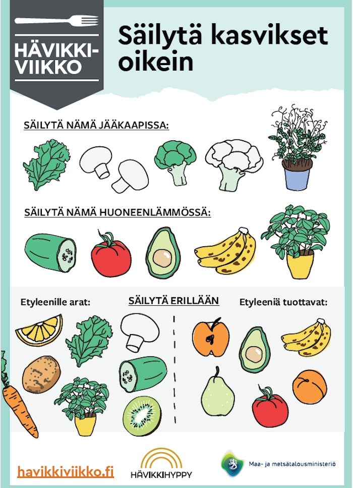 Kuva: Hävikkiviikko. Hävikkiviikko antaa vinkkejä esimerkiksi kasvisten oikeaan säilytykseen.