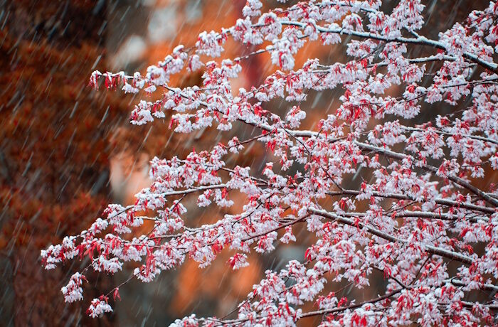 Kuva: Adobe Stock. On mahdotonta ajatella, että saavutamme kestävän tulevaisuuden vain valtion, yksilöiden tai yritysten toimilla, kirjoittaa Kalle Saarimaa Uusioblogissa.