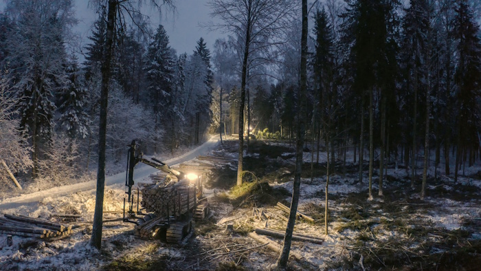 Kuva: Adobe Stock. Laajan tutkijajoukon selvitys tarkastelee, miten metsien kestävyystavoitteisiin voitaisiin päästä. Vuonna 2024 metsätalous ja metsäteollisuus kattoivat vajaat 3,5 prosenttia Suomen bruttokansantuotteesta ja 17 prosenttia tavaraviennistä.
