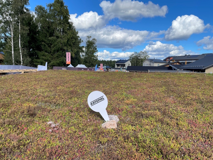 Kuva: Elina Saarinen. Tampereen seudun ammattiopisto Tredun opiskelijoiden toteuttamassa kohteessa talousrakennuksen katolle on tehty Katepalin viherkatto.